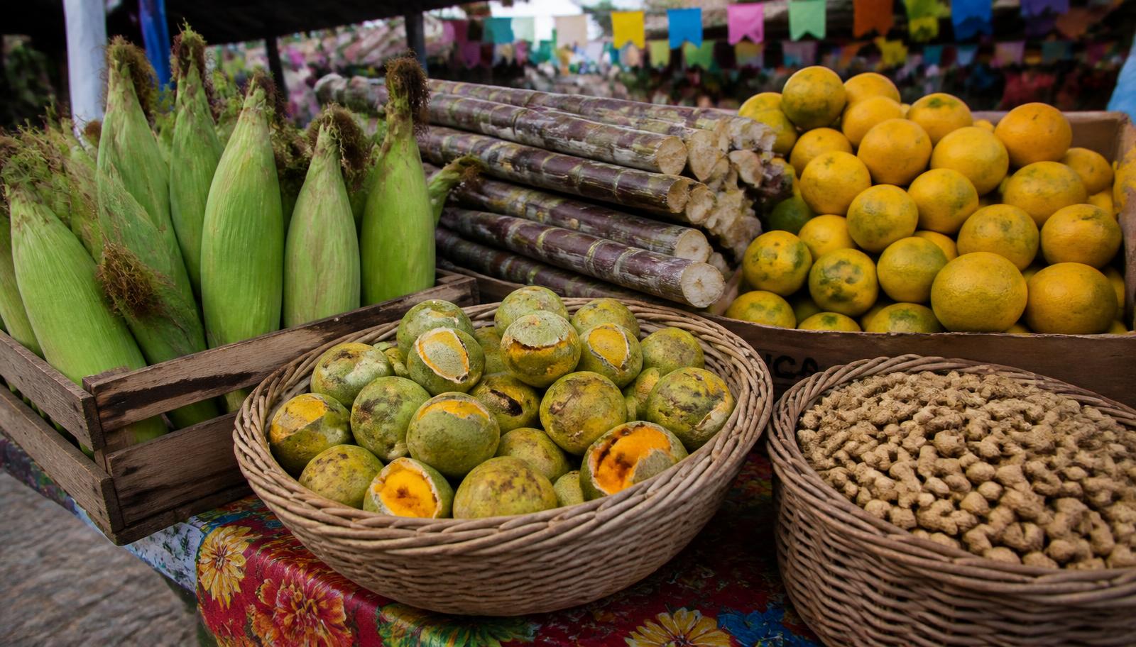 Milho verde, cana, pequi e laranjas em caixotes numa feira brasileira durante festa junina